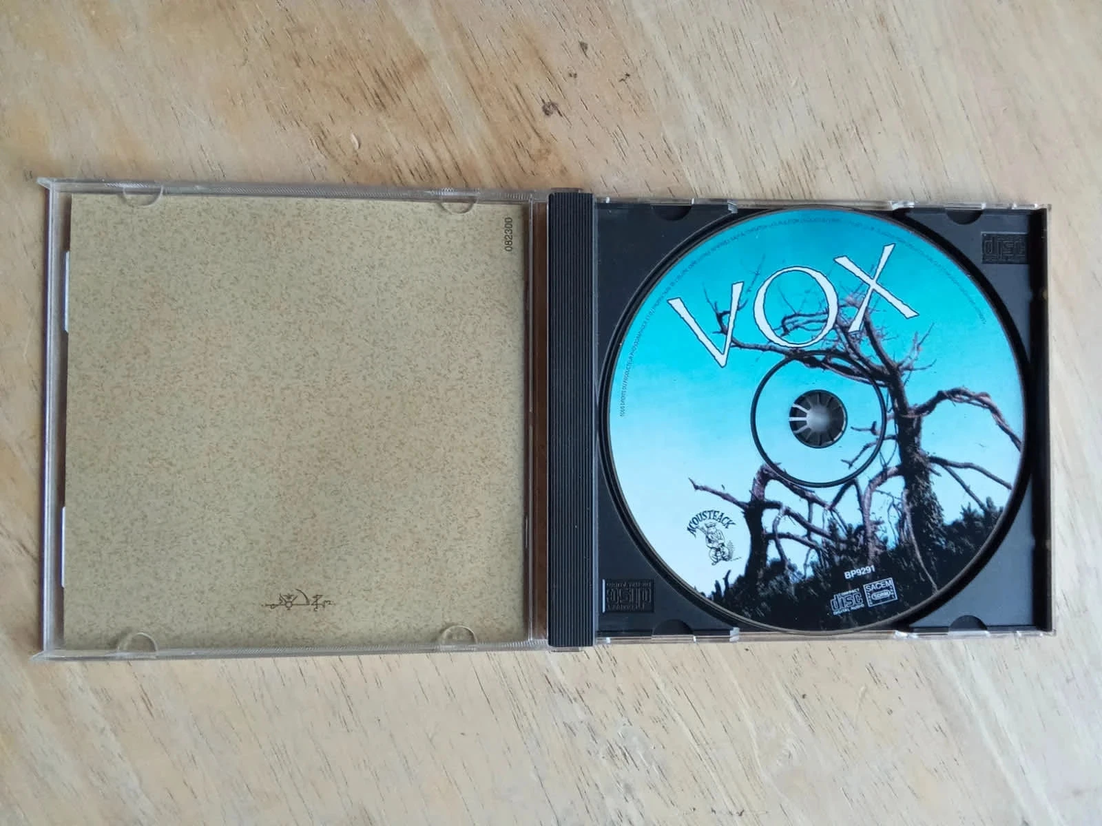 Malicorne, Vox – photo 2